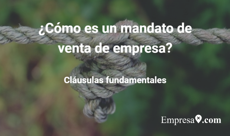  ¿Cómo es un mandato de venta de empresa?